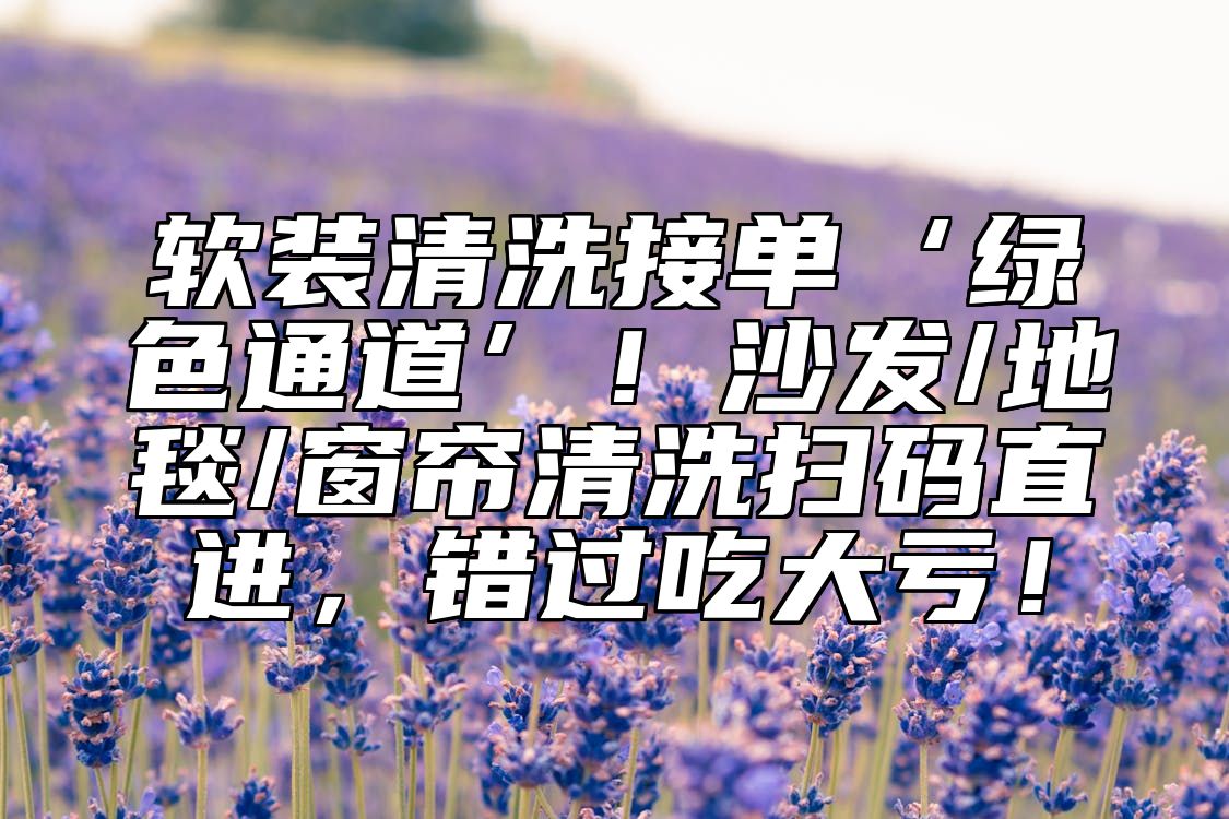 软装清洗接单‘绿色通道’！沙发/地毯/窗帘清洗扫码直进，错过吃大亏！ 