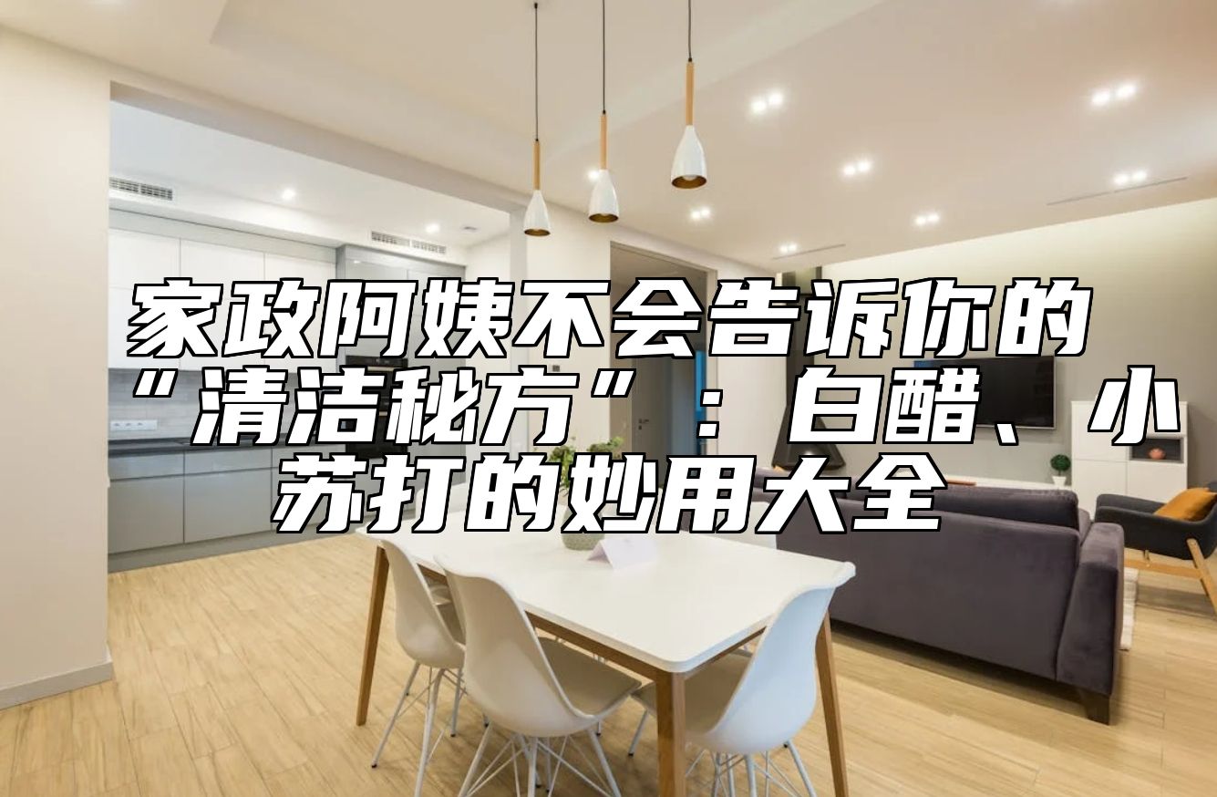 家政阿姨不会告诉你的“清洁秘方”：白醋、小苏打的妙用大全 